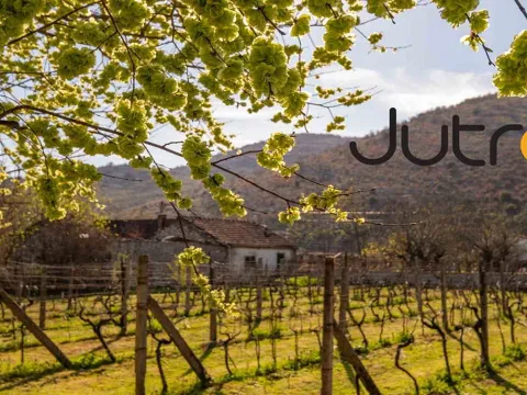 Izdavanje, kuća, 130m², Podgorica, Crna Gora - image 12