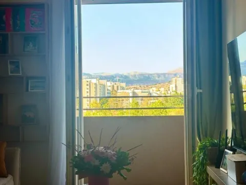 Izdavanje, jednosoban stan, 40m², Central Point, Podgorica - image 13