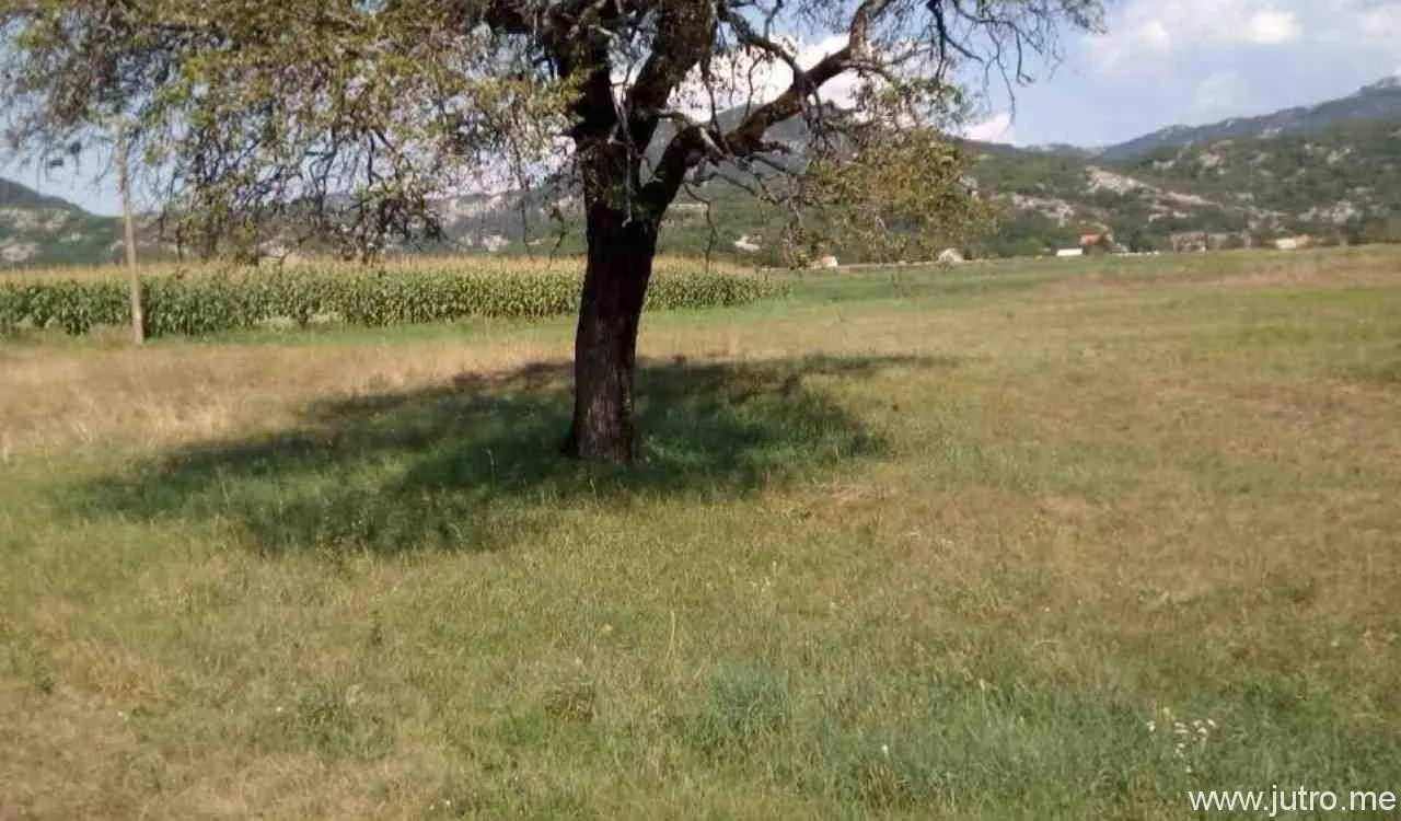 Prodaja, plac, 8500m², Grahovo, Nikšić