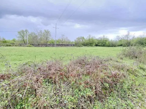 Prodaja, plac, 2993m², Danilovgrad, Crna Gora - image 13