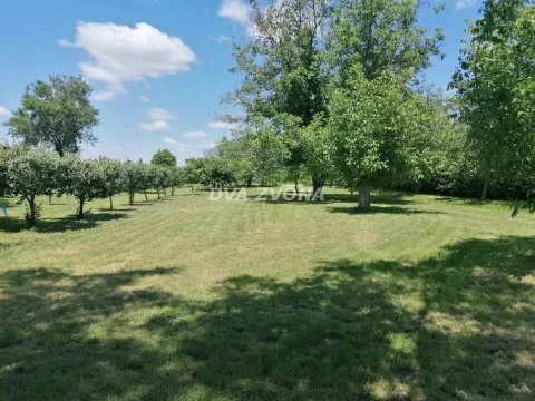 Prodaja, kuća, 26m², Novi Slankamen, Inđija - image 3