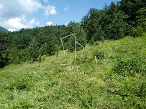 Prodaja, plac, 4500m², Bajina Bašta, Srbija - image 3