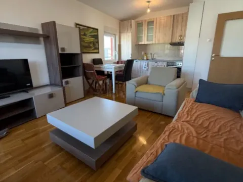 Izdavanje, dvosoban stan, 60m², Ljubović, Podgorica - image 4