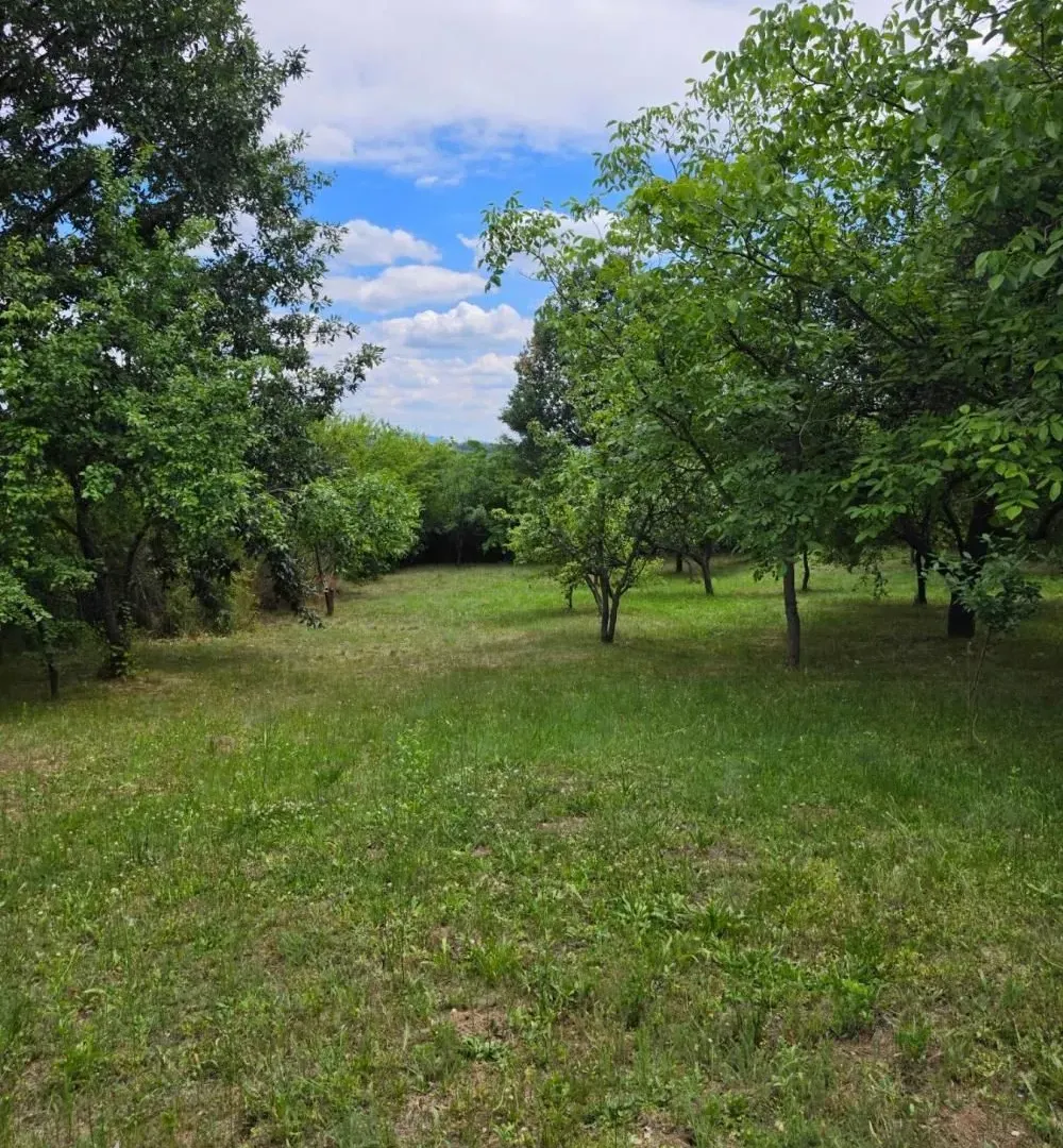 Prodaja, kuća, 166m², Baćevac, Barajevo