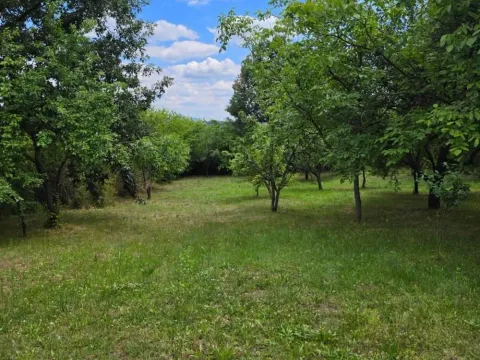 Prodaja, kuća, 166m², Baćevac, Barajevo - image 3