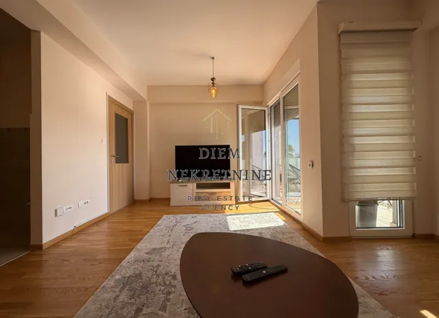Spacious living room with wooden flooring, a rug, and access to the terrace.