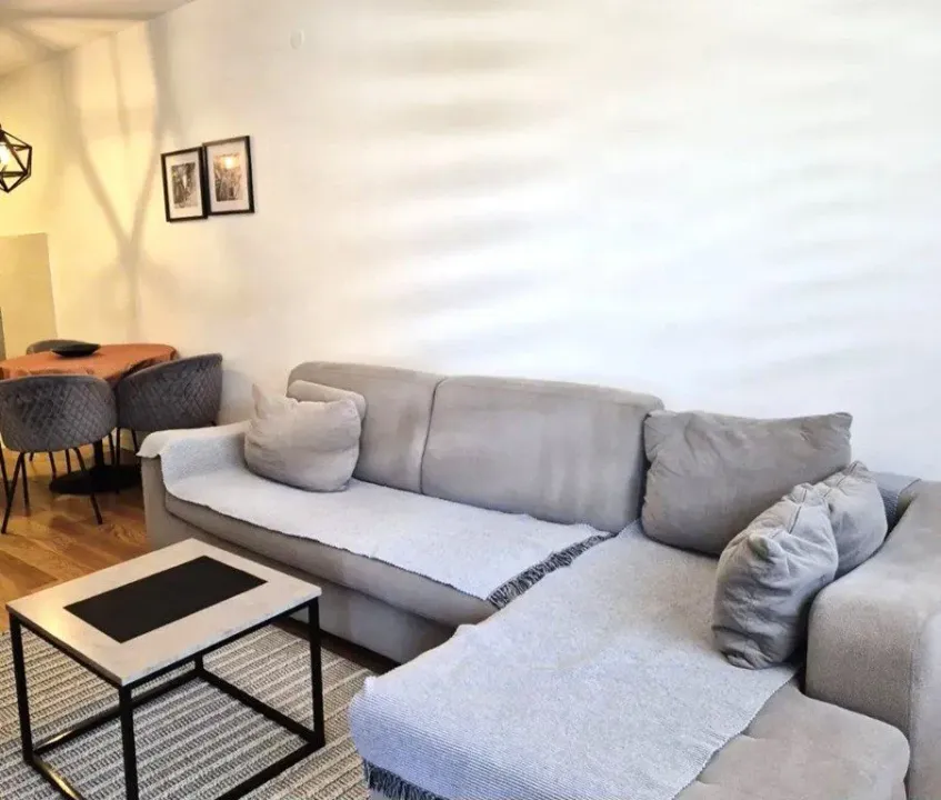 Izdavanje, jednosoban stan, 49m², Central Point, Podgorica