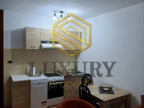 Izdavanje, jednosoban stan, 44m², Vezirov Most, Podgorica - image 11