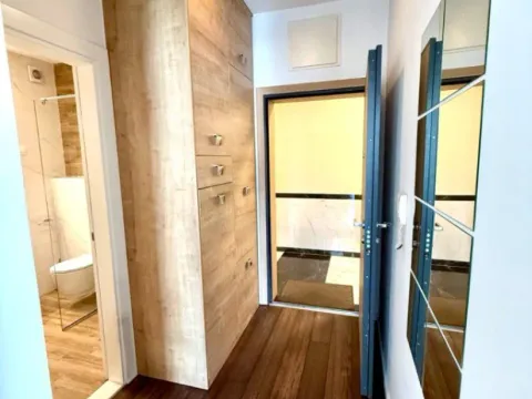 Izdavanje, jednosoban stan, 48m², Preko Morače, Podgorica - image 7