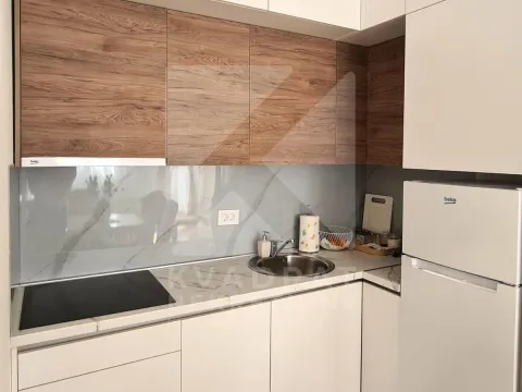 Izdavanje, jednosoban stan, 42m², Zabjelo, Podgorica - image 5