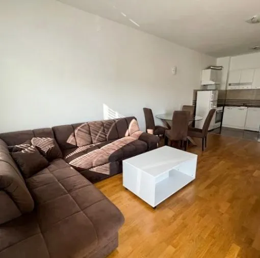 Izdavanje, jednosoban stan, 50m², Stari Aerodrom, Podgorica