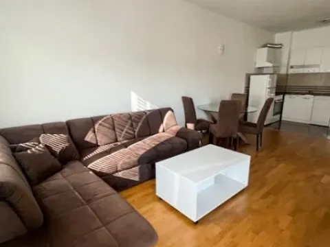 Izdavanje, jednosoban stan, 50m², Stari Aerodrom, Podgorica