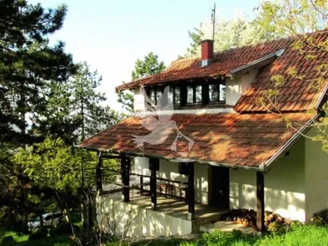 Prodaja, kuća, 81m², Kosmaj, Sopot - image 16