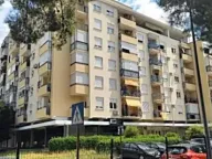 Izdavanje, jednosoban stan, 40m², Blok 6, Podgorica - image 1