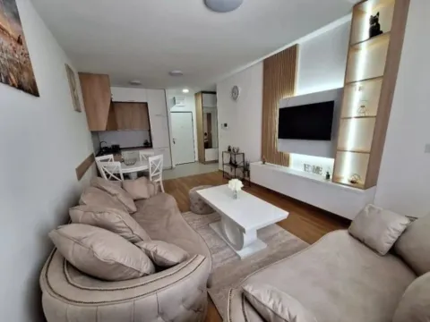 Izdavanje, jednosoban stan, 47m², Stari Aerodrom, Podgorica - image 2