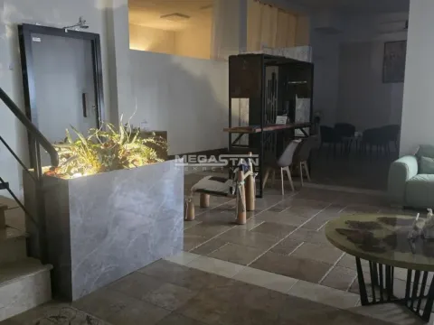 Izdavanje, poslovni prostor, 330m², Čukarica, Beograd - image 3