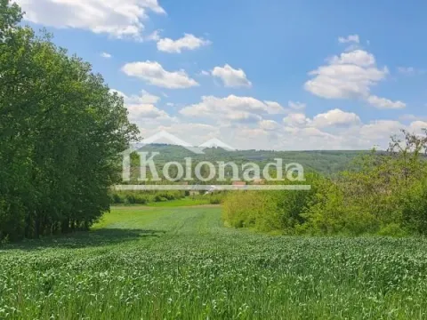 Sale, land lot, Sopot, Beograd