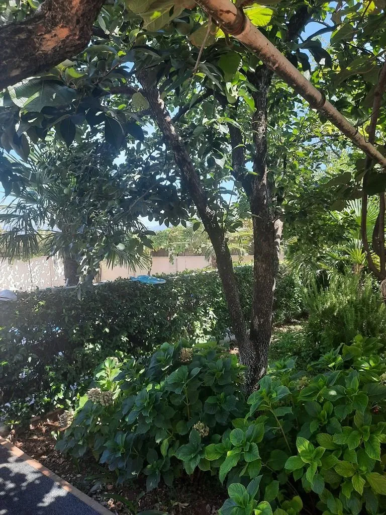 Rent, house, 300m², Donja Gorica, Podgorica