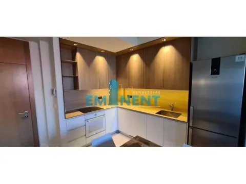 Izdavanje, dvosoban stan, 60m², Savski Venac, Beograd - image 2