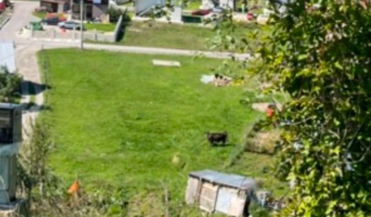 Prodaja, plac, 2000m², Centar, Kolašin
