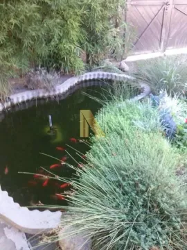 Yard with an ornamental pond and fish surrounded by greenery. - image 7