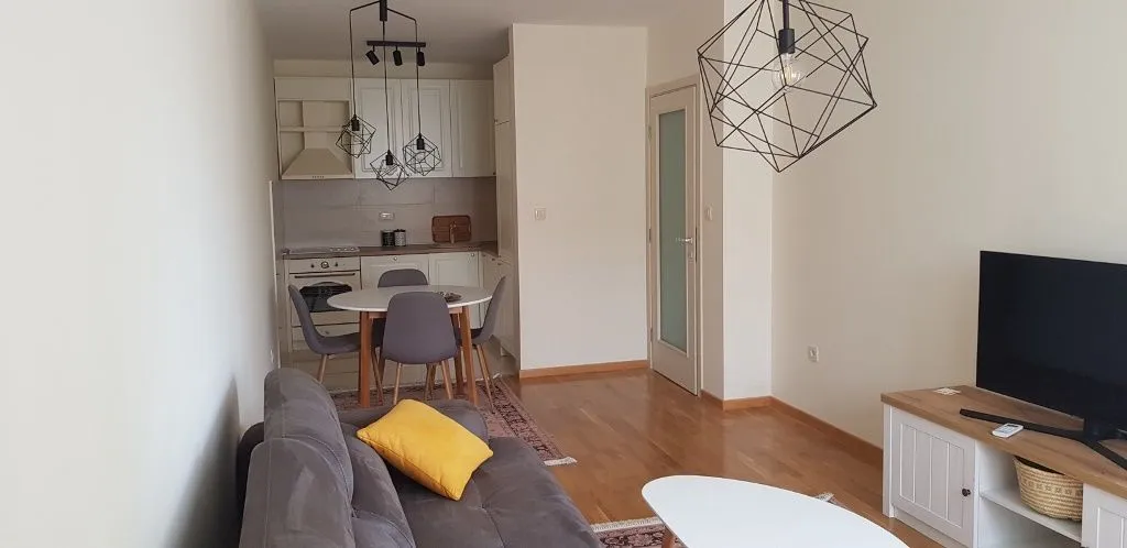 Rent, one bedroom apartment, 46m², Vezirov Most, Podgorica