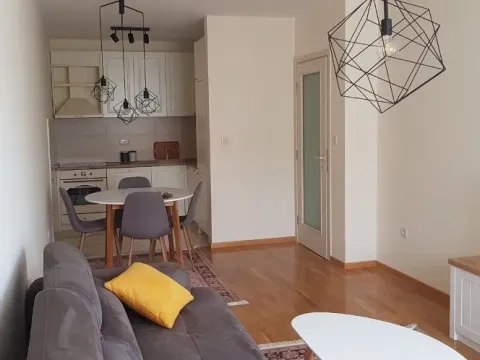 Rent, one bedroom apartment, 46m², Vezirov Most, Podgorica - image 3