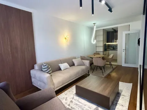 Izdavanje, jednosoban stan, 51m², Tološi, Podgorica - image 3