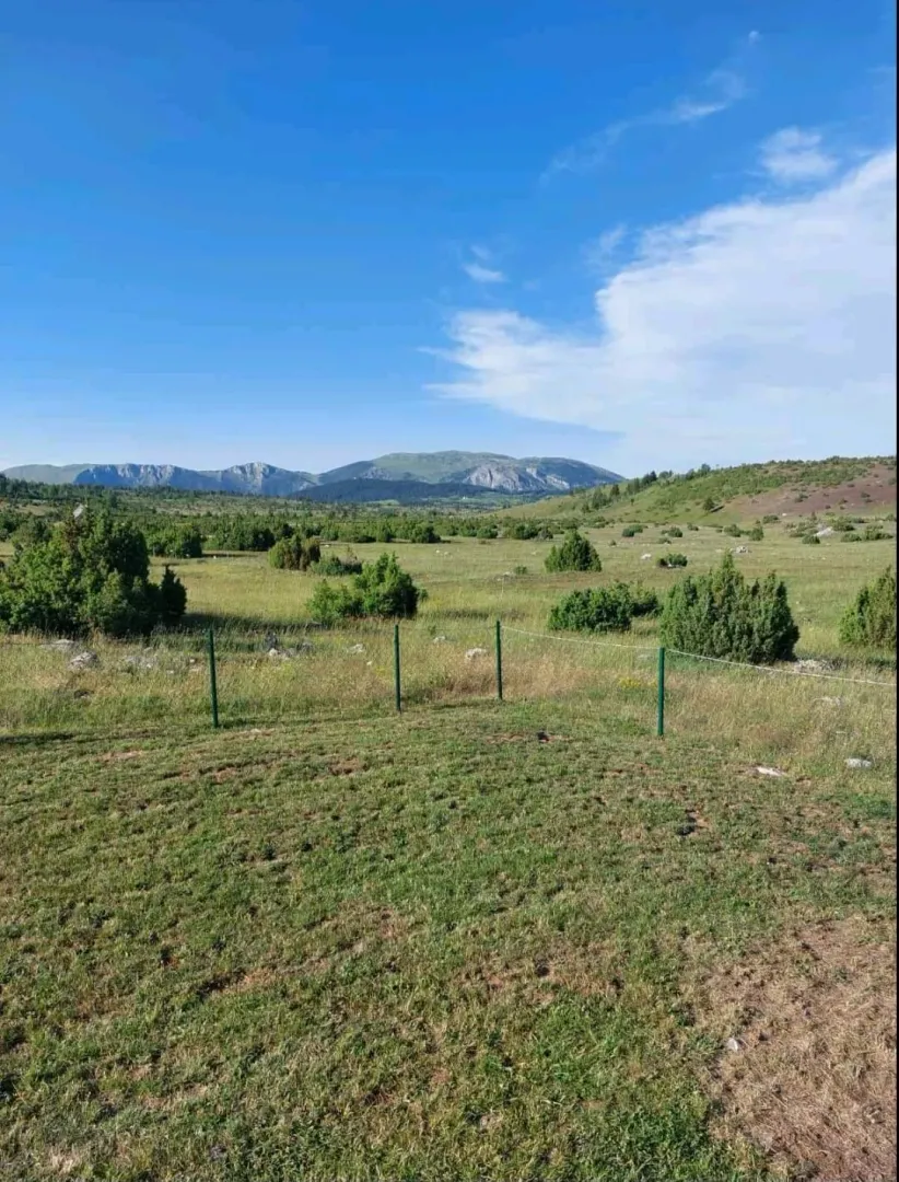 Pogled na zeleni travnati teren i planine u daljini.