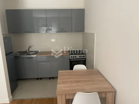 Izdavanje, jednosoban stan, 40m², Zabjelo, Podgorica - image 6