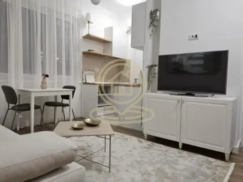 Izdavanje, dvosoban stan, 40m², Čubura, Beograd - image 3