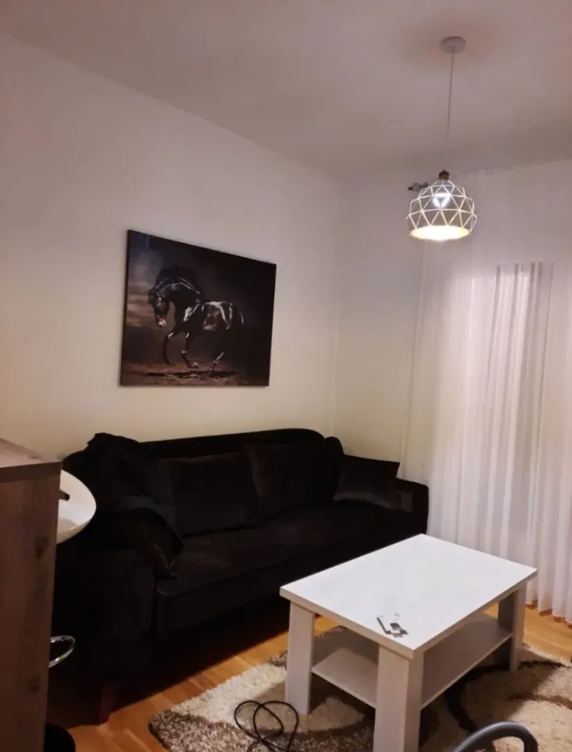 Izdavanje, jednosoban stan, 43m², Zabjelo, Podgorica