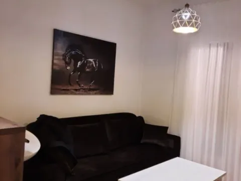 Izdavanje, jednosoban stan, 43m², Zabjelo, Podgorica - image 10