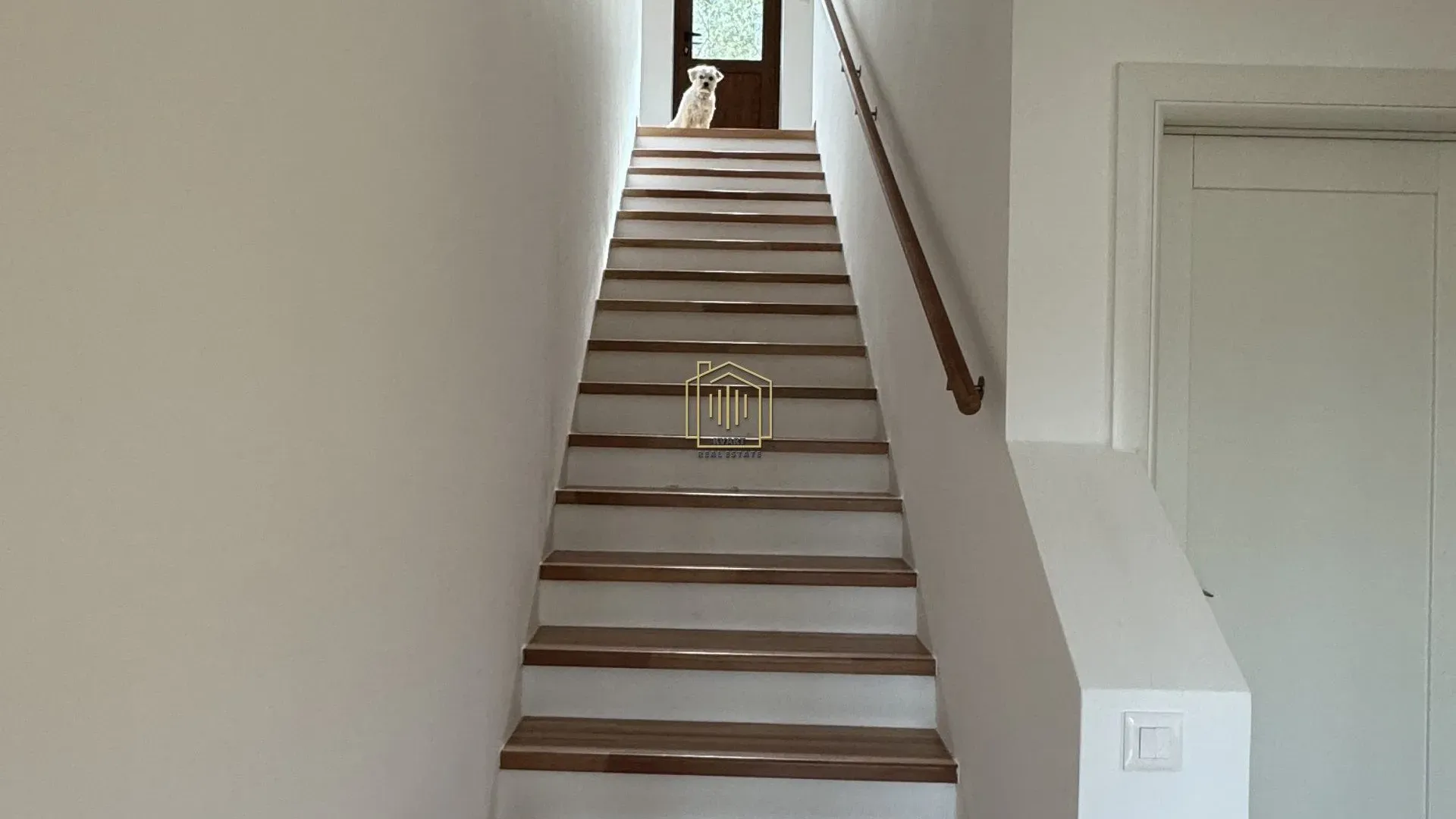 Rent, house, 256m², Masline, Podgorica