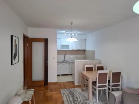 Izdavanje, jednosoban stan, 45m², Stari Aerodrom, Podgorica - image 4