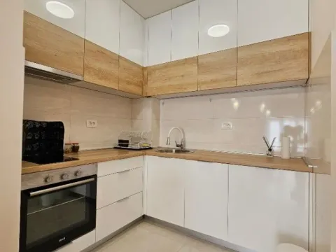 Izdavanje, jednosoban stan, 50m², Central Point, Podgorica - image 2