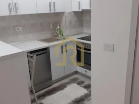 Izdavanje, dvosoban stan, 50m², Hala Pionir, Palilula Sve Podlokacije - image 6