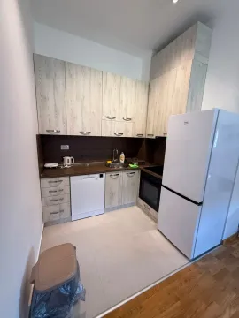 Rent, one bedroom apartment, 44m², Zabjelo, Podgorica - image 4