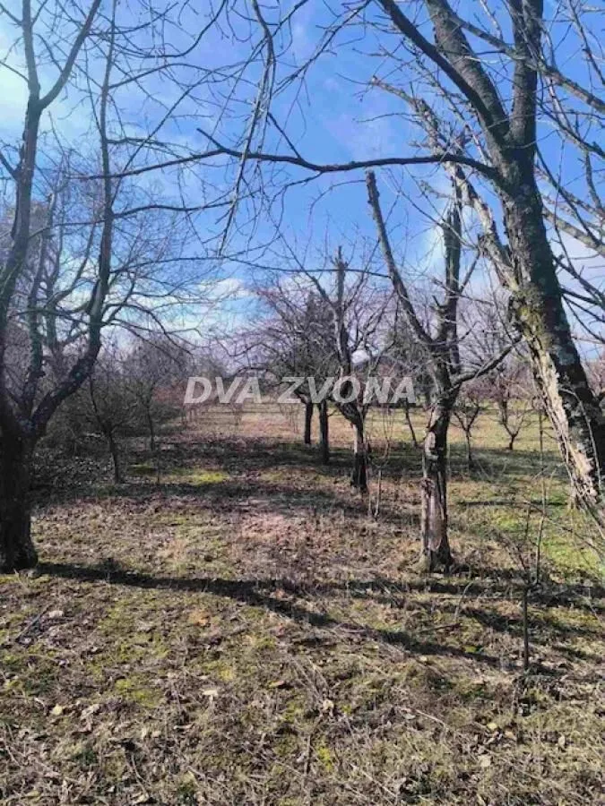 Prodaja, plac, 1200m², Čortanovci, Inđija