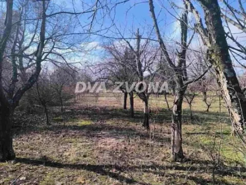 Prodaja, kuća, 35m², Čortanovci, Inđija - image 3