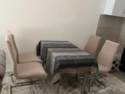 Izdavanje, jednosoban stan, 48m², Stari Aerodrom, Podgorica - image 5