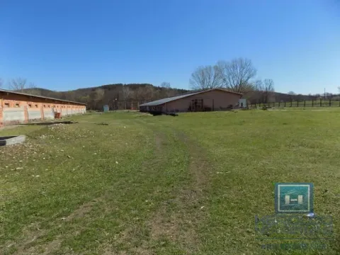 Sale, office space, 16723m², Boljevac, Srbija - image 49