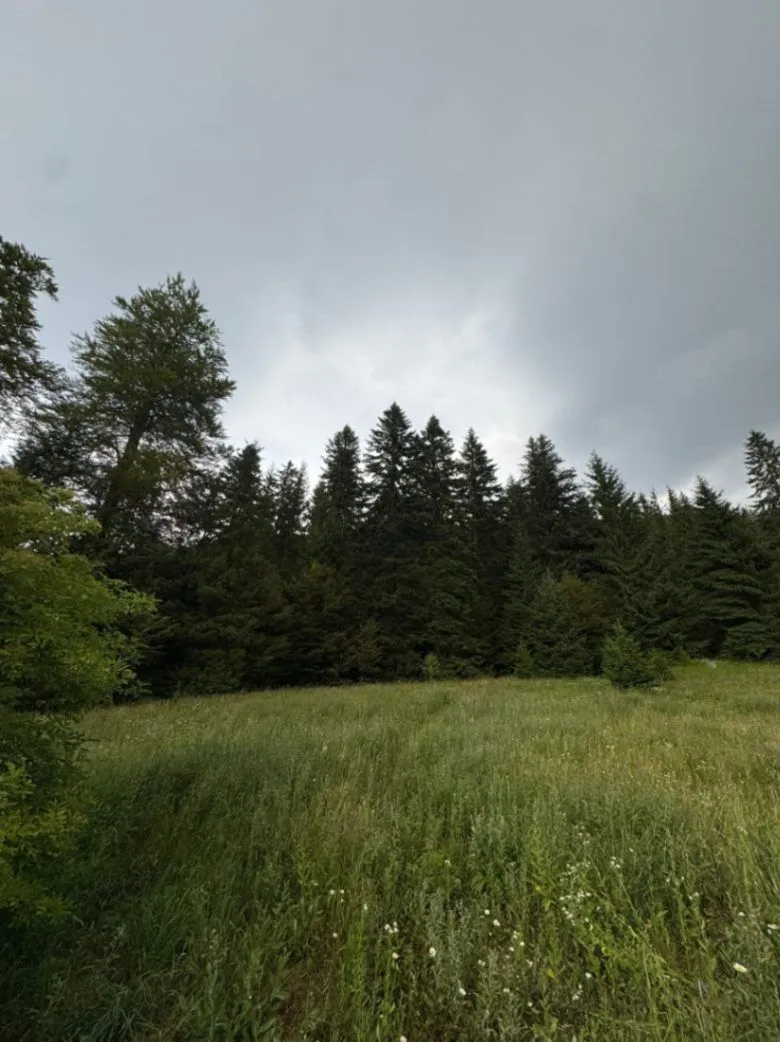 Prodaja, plac, 800m², Tara, Srbija