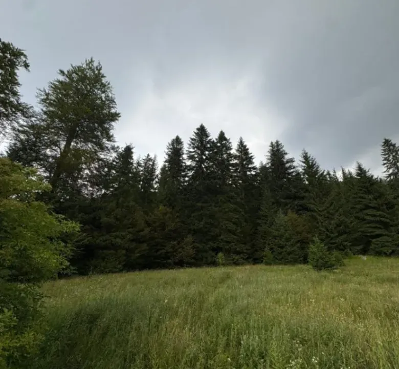 Prodaja, plac, 800m², Tara, Srbija