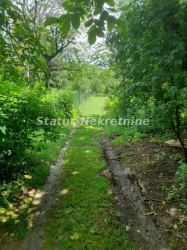 Zeleno dvorište sa zemljanom stazom i drvećem. - image 5