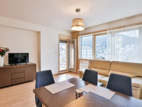 Rent, one bedroom apartment, 47m², Centar, Budva - image 2