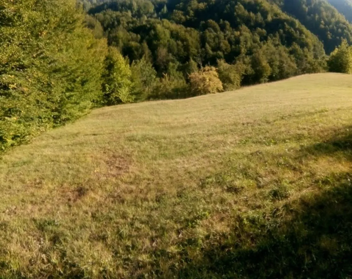 Prodaja, plac, 12500m², Kolašin, Crna Gora