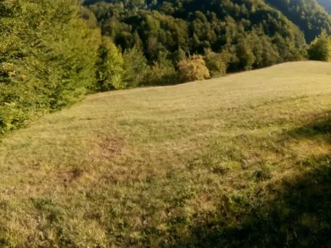 Sale, land lot, 12500m², Kolašin, Crna Gora - image 2