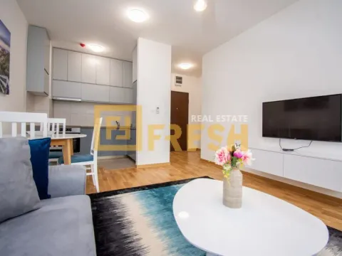 Rent, one bedroom apartment, 43m², Zagorič, Podgorica - image 6