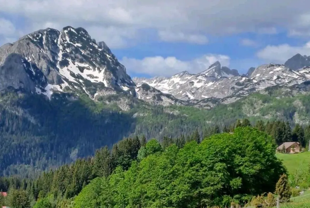 Prodaja, plac, 4406m², Pitomine, Žabljak